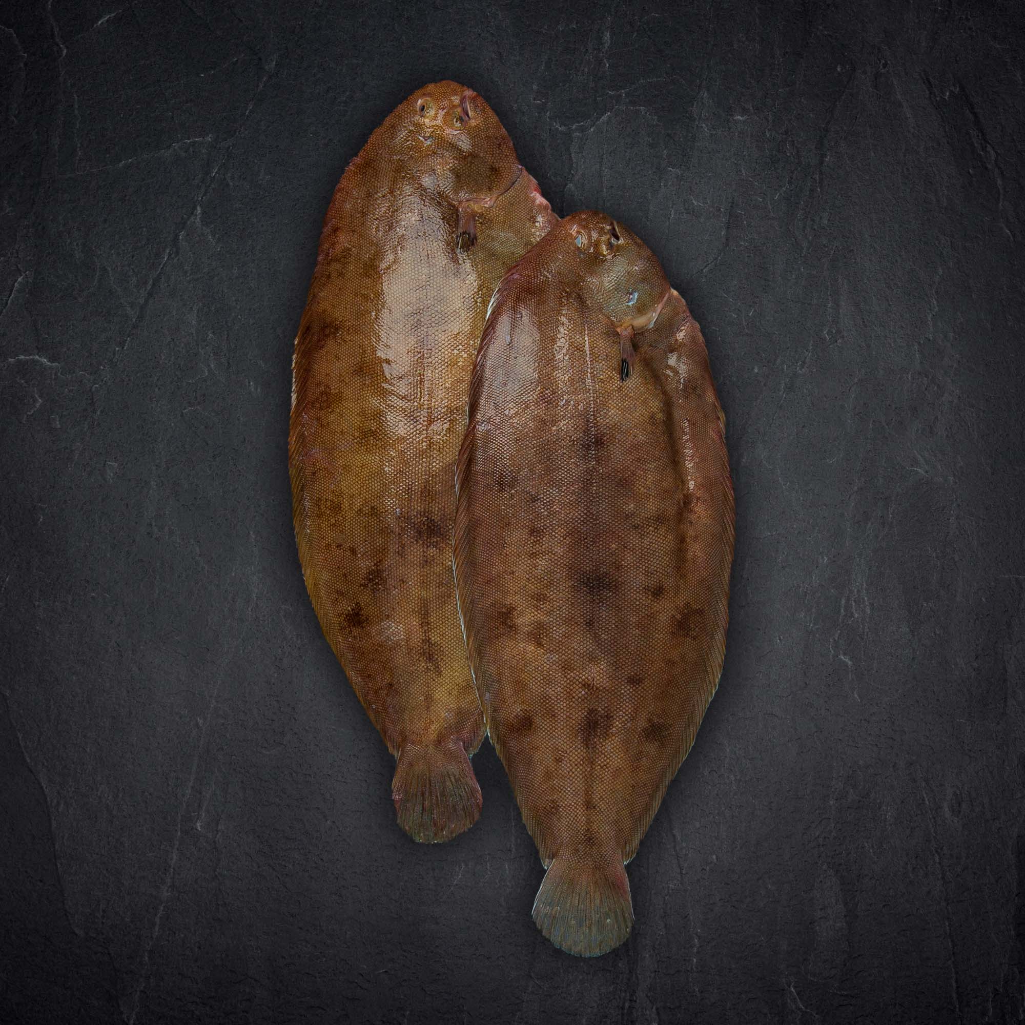 Seezunge ausgenommen online kaufen Seezunge ausgenommen online kaufen