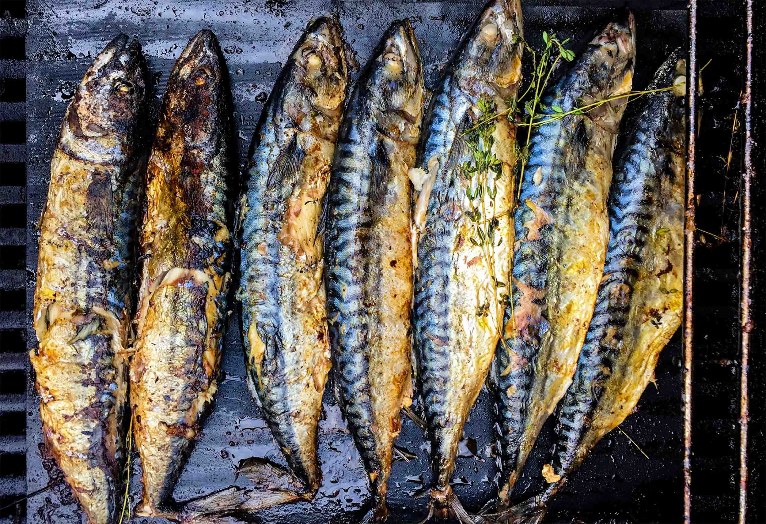 Mood grillfisch 3 Produktbild: Mood grillfisch 3