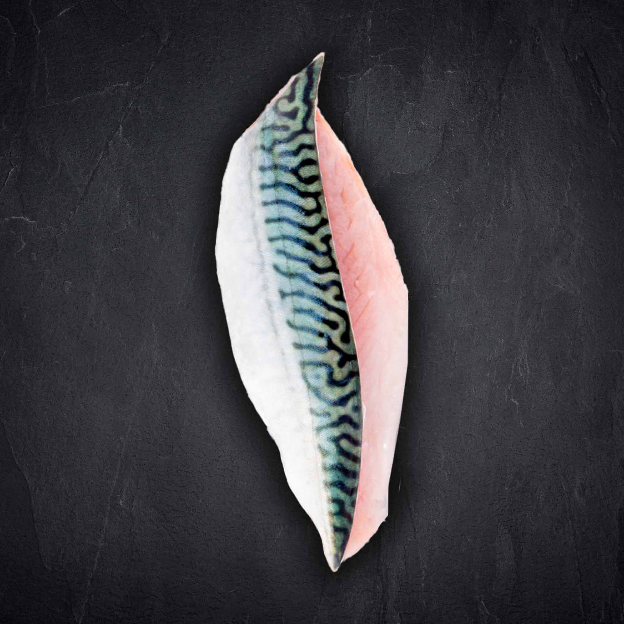 Fisch & Meeresfruechte Produktbilder Produktbild: Fisch & Meeresfruechte Produktbilder