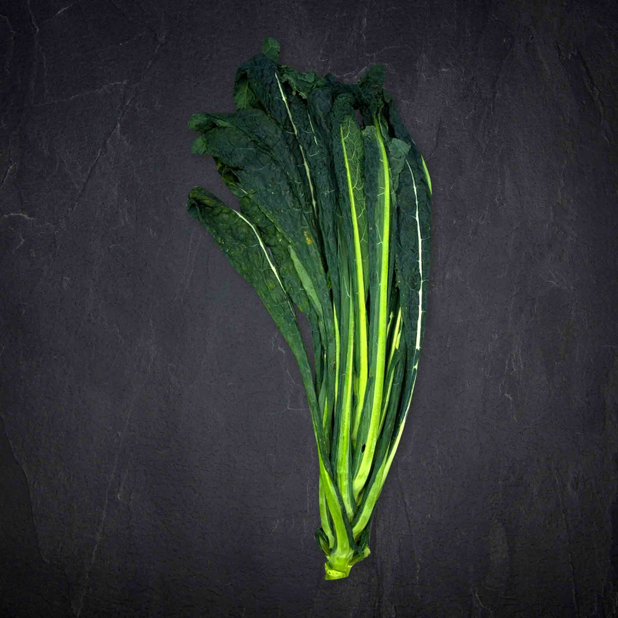 Produktbild: 96494_Gemu_se_Pamkohl_CavoloNero_Italien_3a