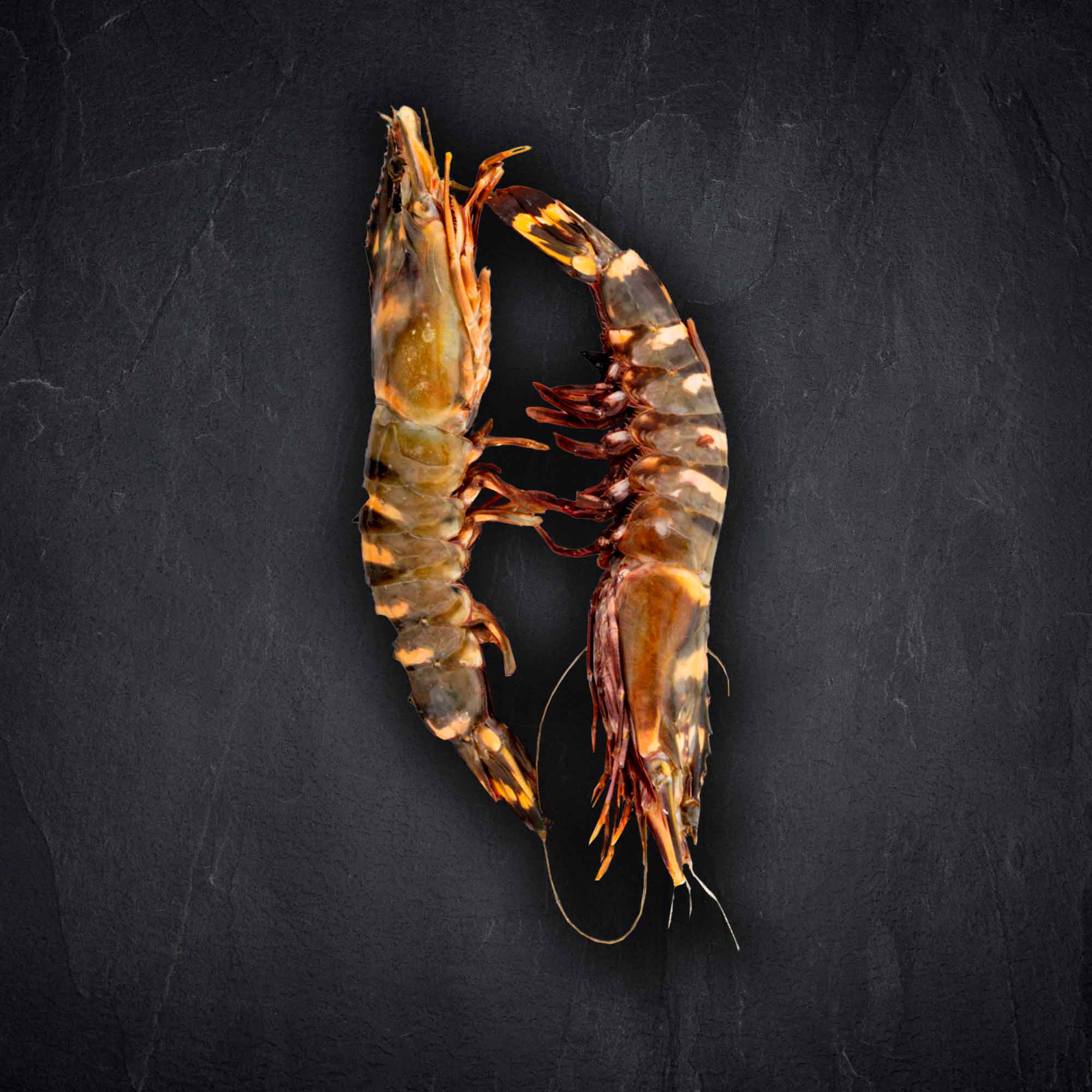 Fisch & Meeresfruechte Produktbilder Produktbild: Fisch & Meeresfruechte Produktbilder