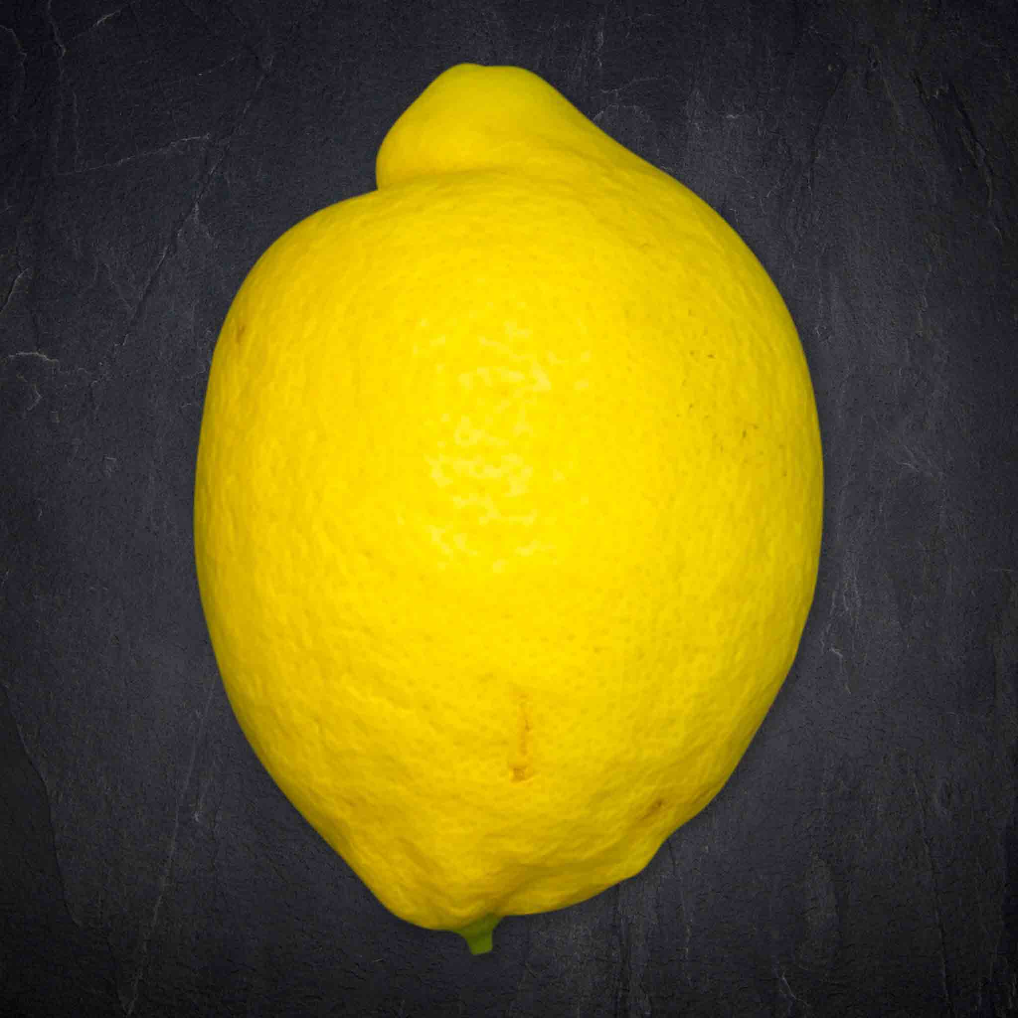 346783_Obst_Zitrone_mitBlatt_Amalfi_4_B2BFP Produktbild: 346783_Obst_Zitrone_mitBlatt_Amalfi