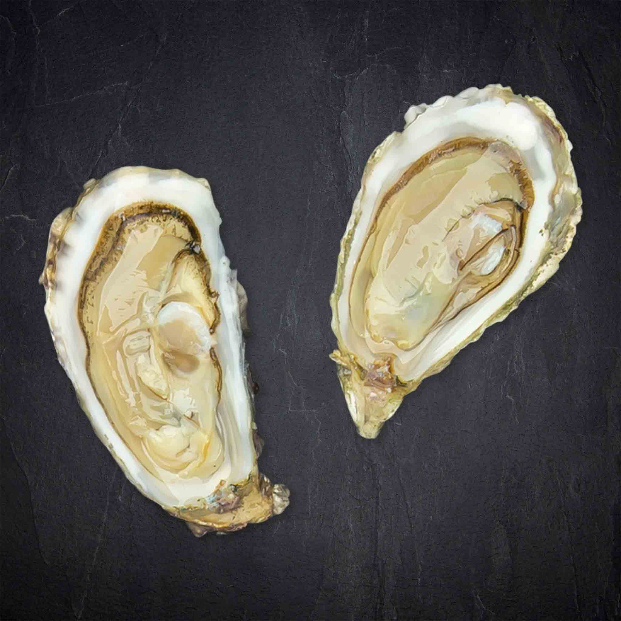 834569_Fisch_FP_Austern_Perles_Michel_M_12_Messer_Frankreich_26_B2BFP Produktbild: 834569_Fisch_FP_Austern_Perles_Michel_MMesser_Frankreich_26_