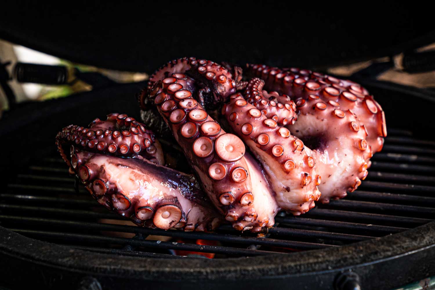 Produktbild: Pulpo Tentakel Saugknöpfe auf dem Grill