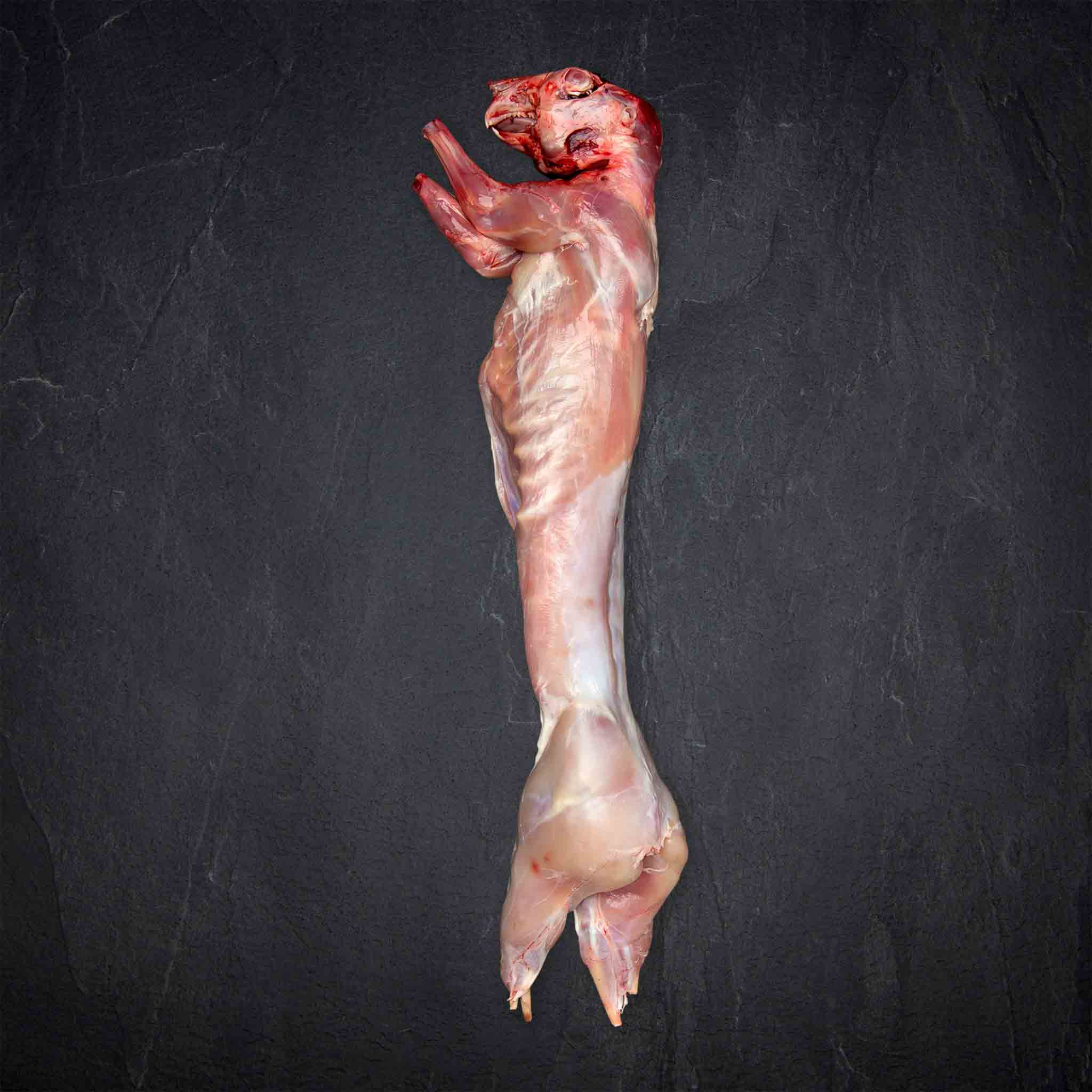 362477_Fleisch_Kaninchen_ganz__9__B2BFP Produktbild: 362477_Fleisch_Kaninchen_ganz