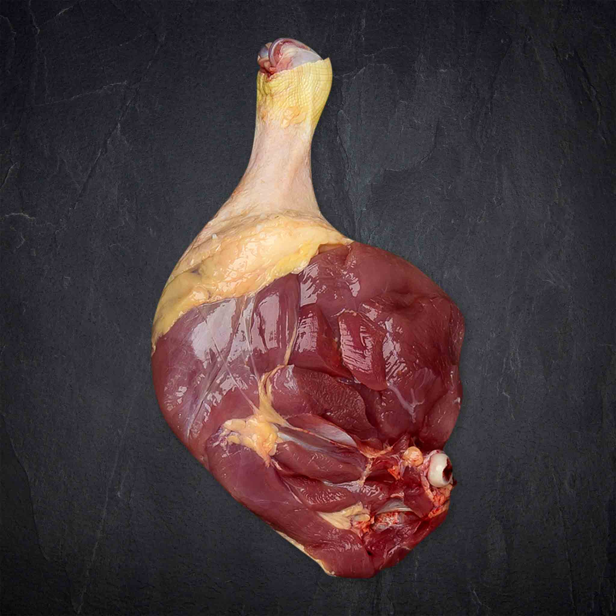 Produktbild: 518175_Geflu_gel_Entenkeule_Barbarie_Ma_nnlich_FR