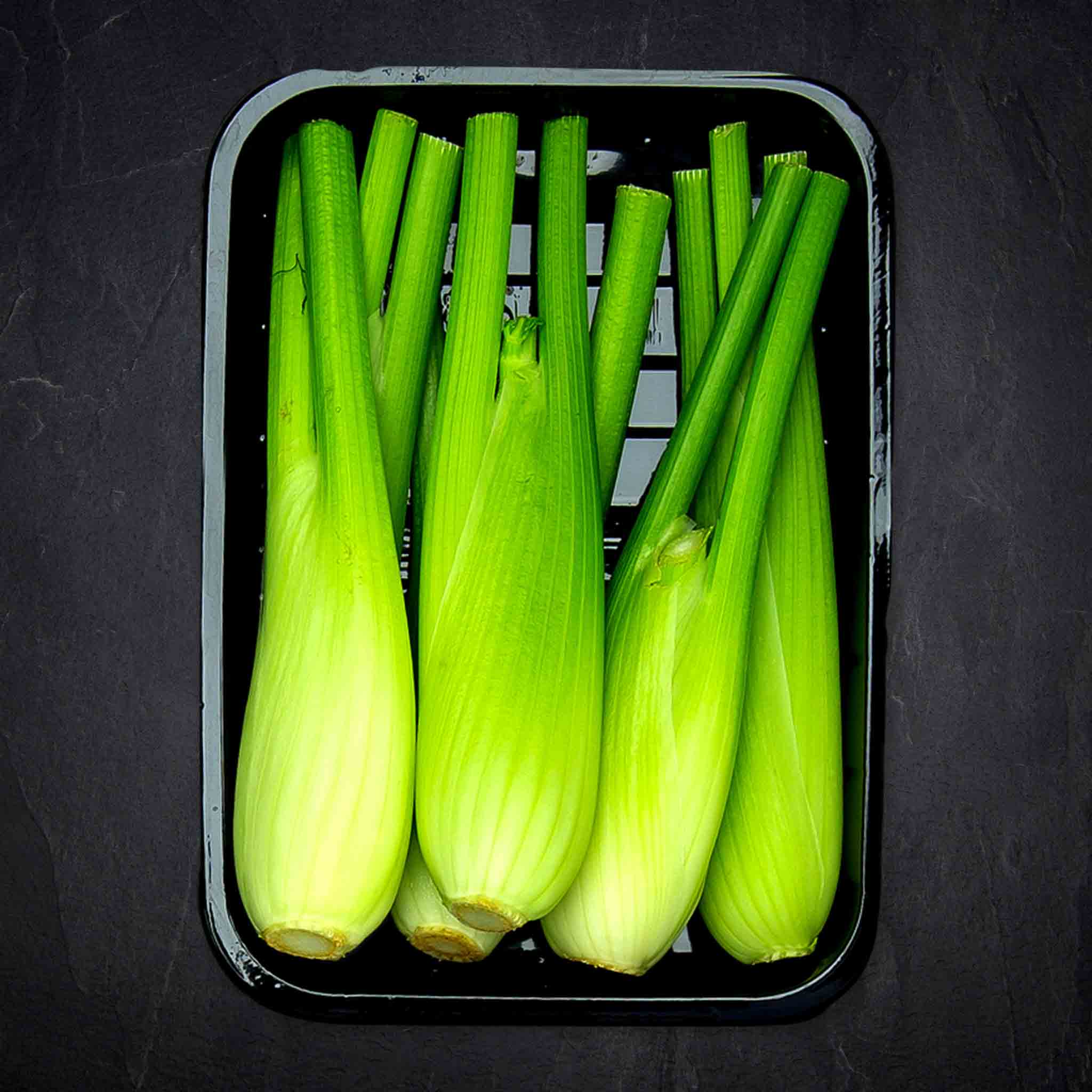 Produktbild: 255126_Gemu_se_Fenchel_mini_Schale_Su_dafrika