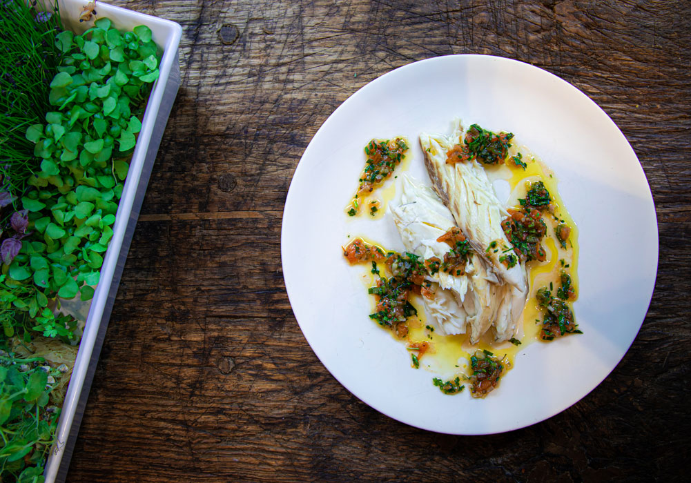 fisch, weißer fisch, teller, kräuter, soße
