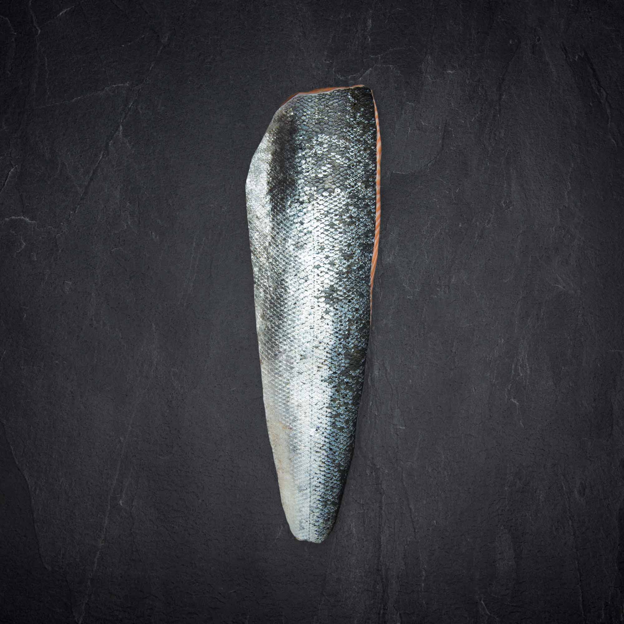 Qsfp glen douglas lachsfilet mit haut rueckseite Produktbild: Qsfp glen douglas lachsfilet mit haut rueckseite