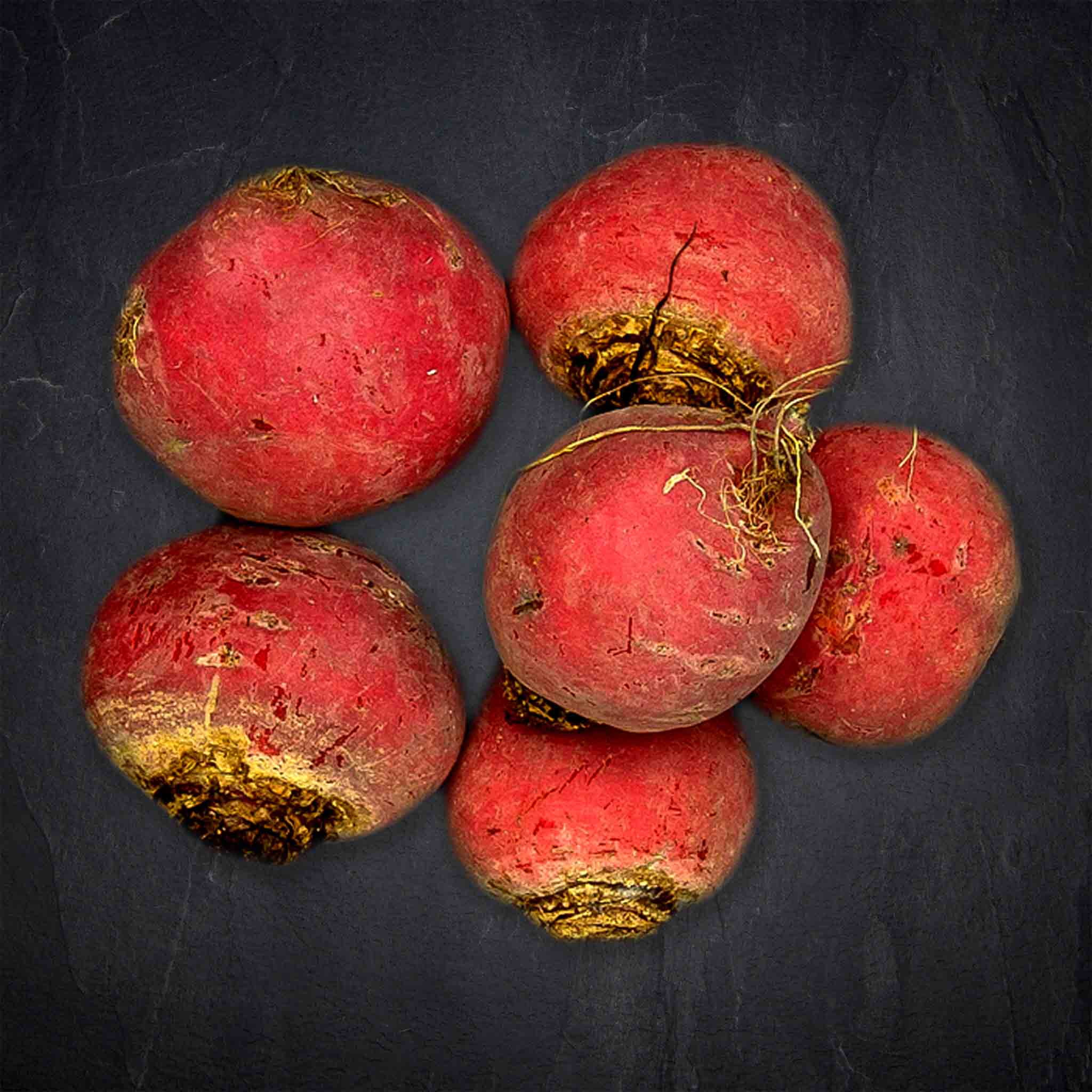 Produktbild: 70887_Gemu_se_Chiogga_roteWei_e_Beete_kg_UrsprungslandNiederlande