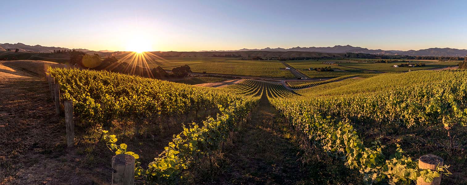 Header greywacke Produktbild: Header greywacke