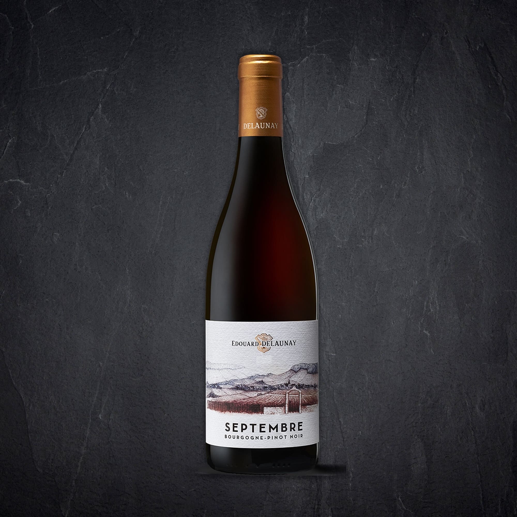 Produktbild: 142130_Bourgogne_Pinot_noir_Septembre_Rouge