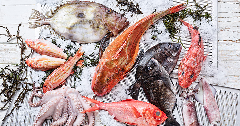 Fisch und Meeresfruechte Produktbild: Fisch und Meeresfruechte