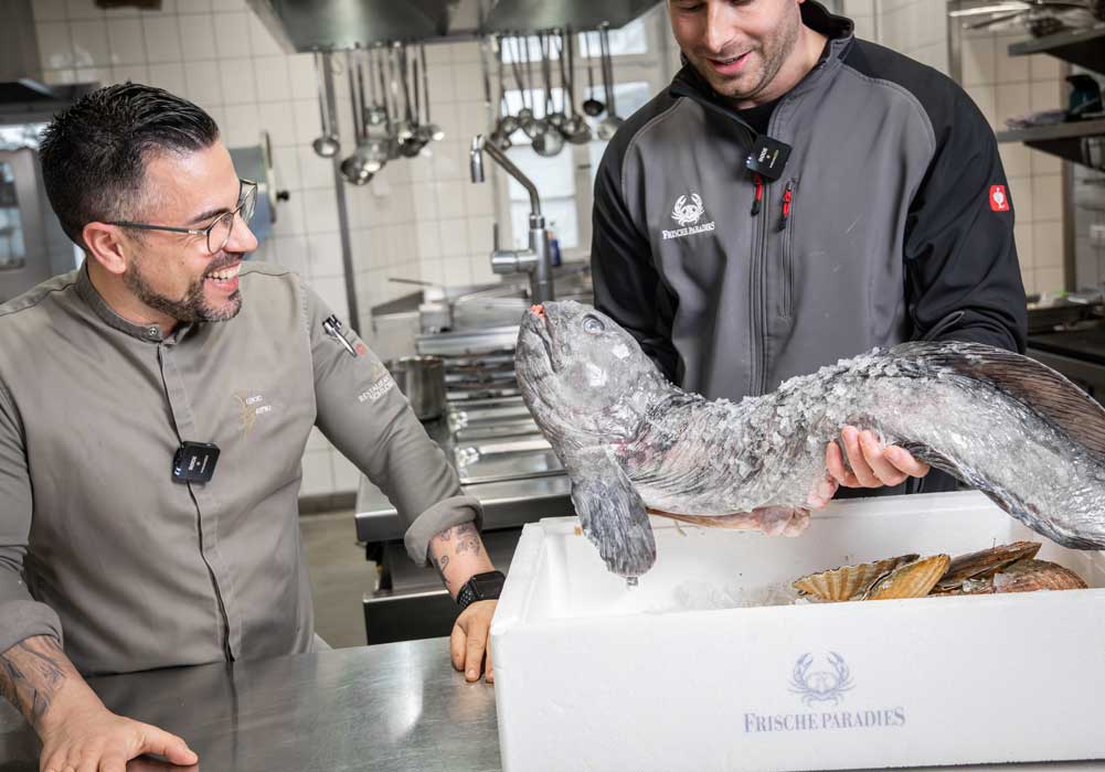 fisch, eisscholle, kühlbox, küche, fischverarbeitung