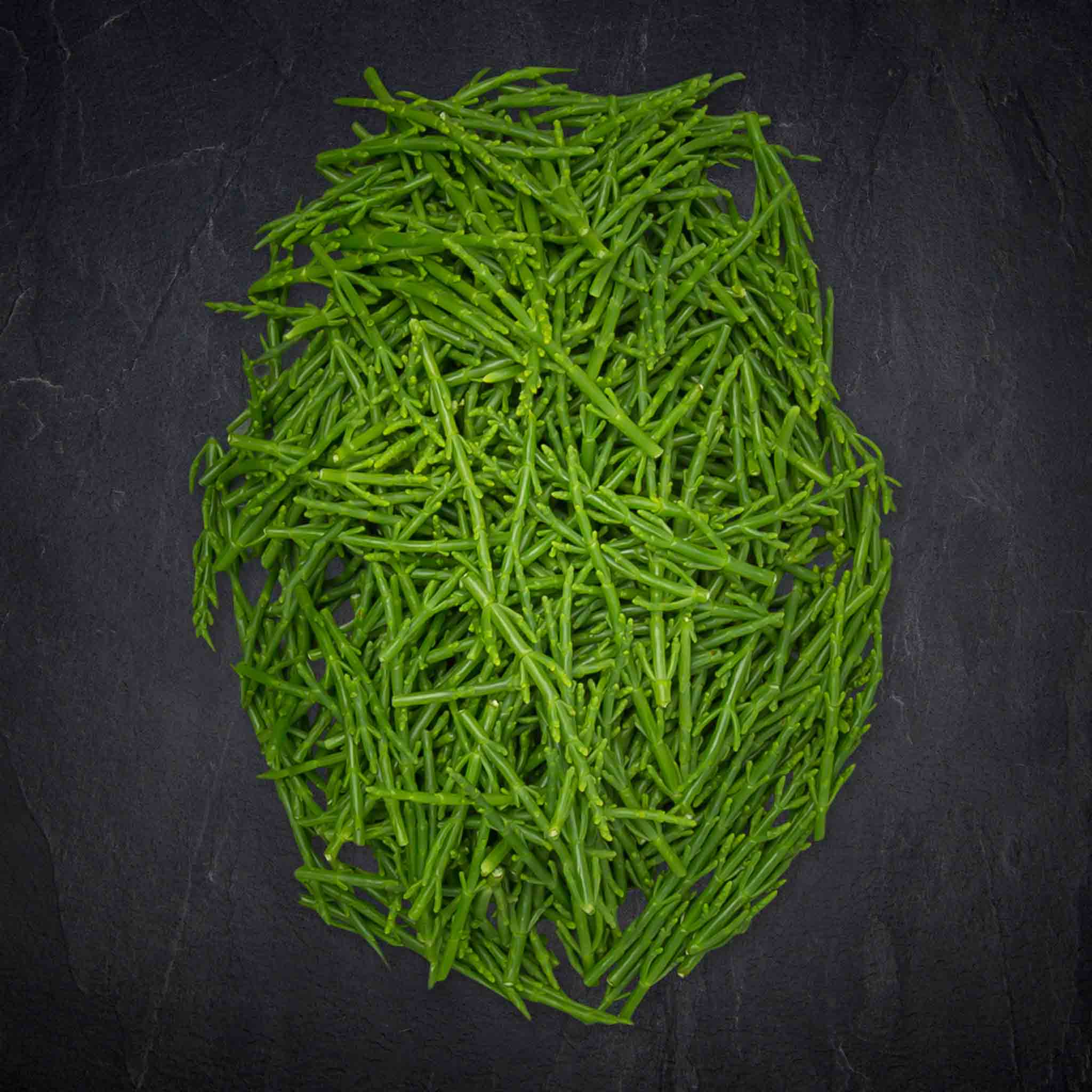 Produktbild: 321971_Fisch_Salicornes_Passe_Pierre_Algen_SalicorniaEuropaea_agg_Aquakultur_Israel_Frankreuch_Agrikultur6_