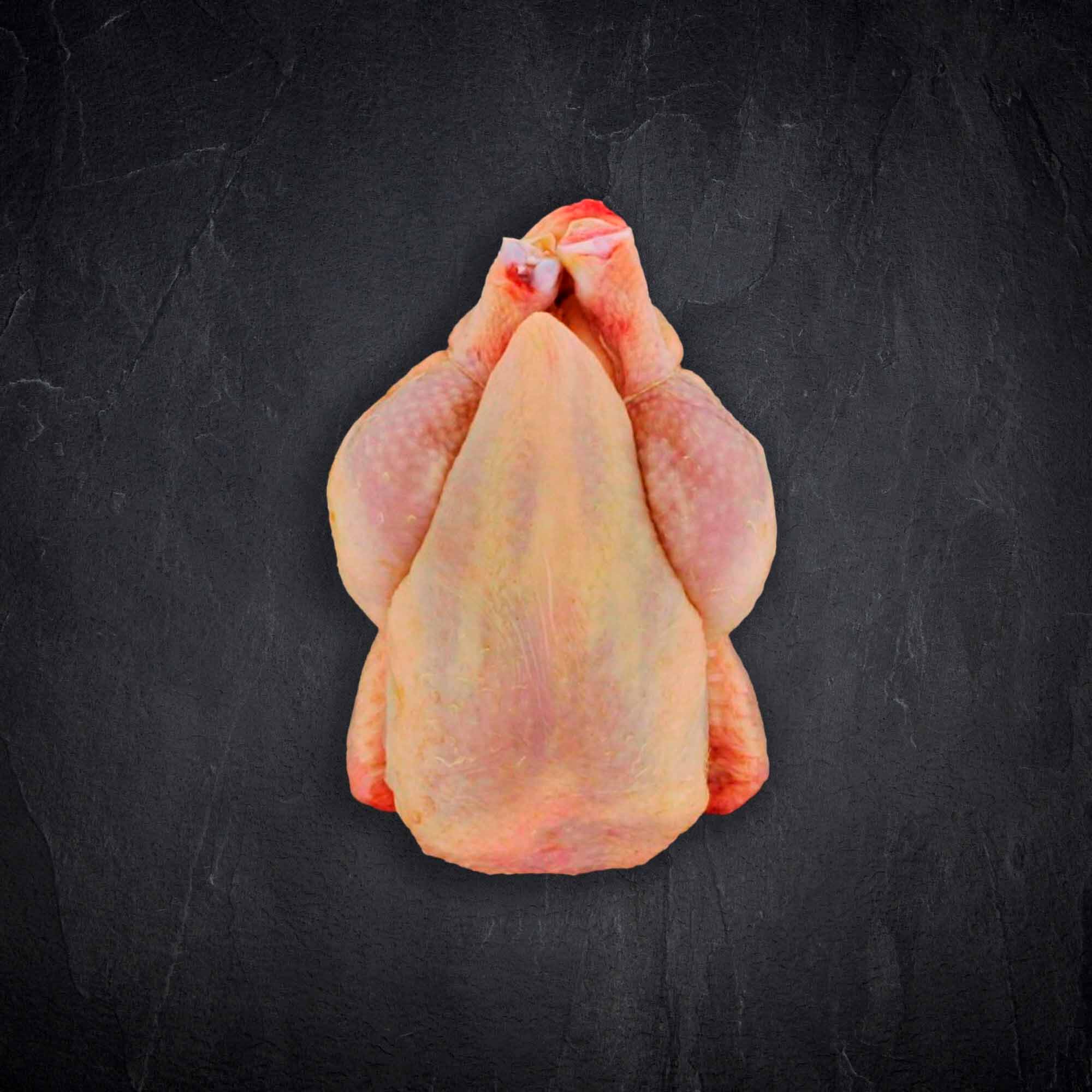 Stubenkueken Produktbild: Stubenkueken