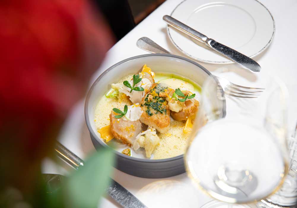 Suppe, Käse, Huhn, Kartoffel, Kräuter