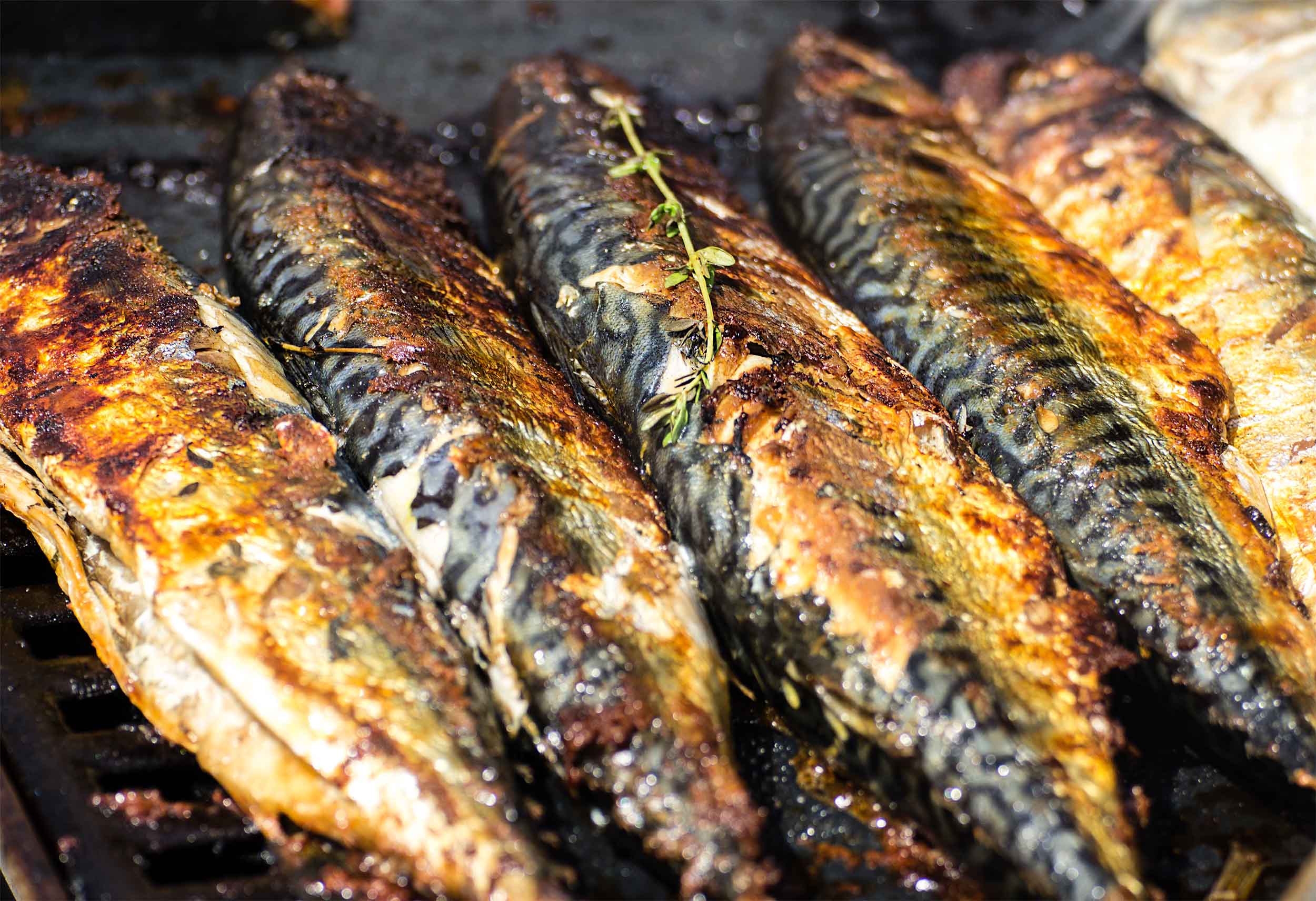 Mood grillfisch 2 Produktbild: Mood grillfisch 2