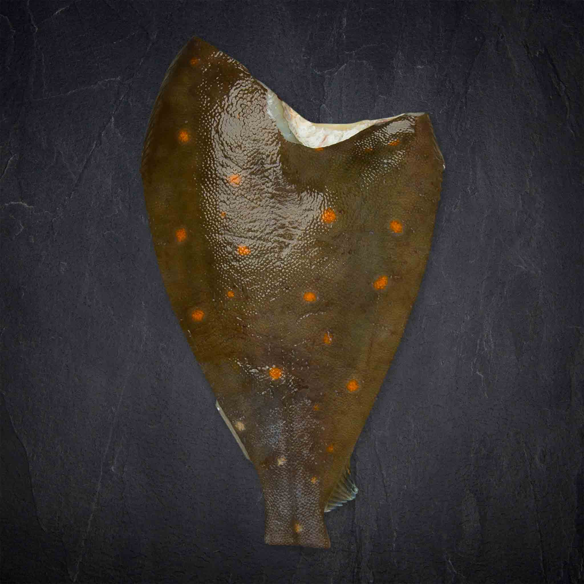 361668_Fisch_MSC_Scholle_300-500g_kf__2__B2BFP Produktbild: 361668_Fisch_MSC_Scholle_300-500g_kf