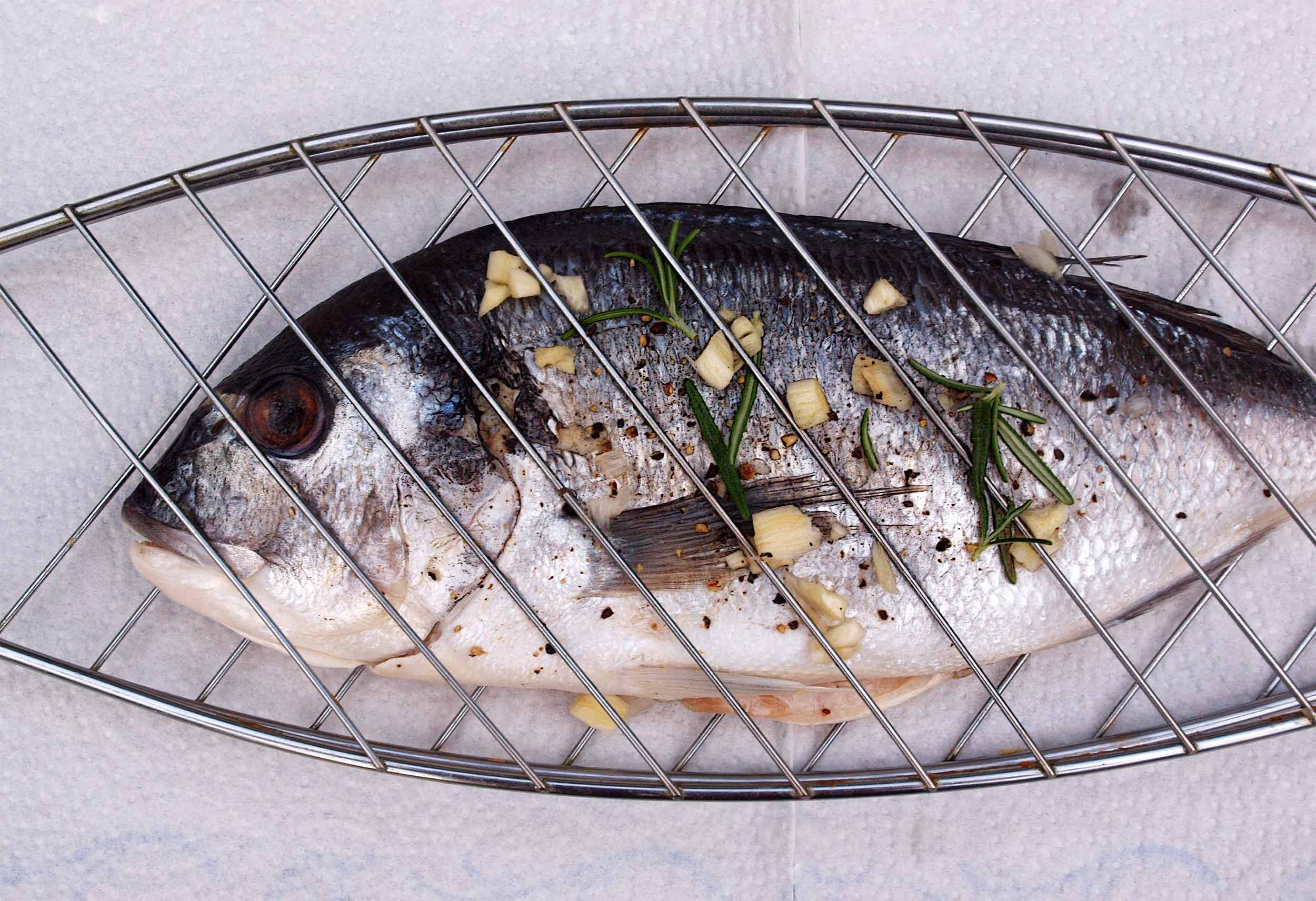 Mood grillfisch 4 Produktbild: Mood grillfisch 4