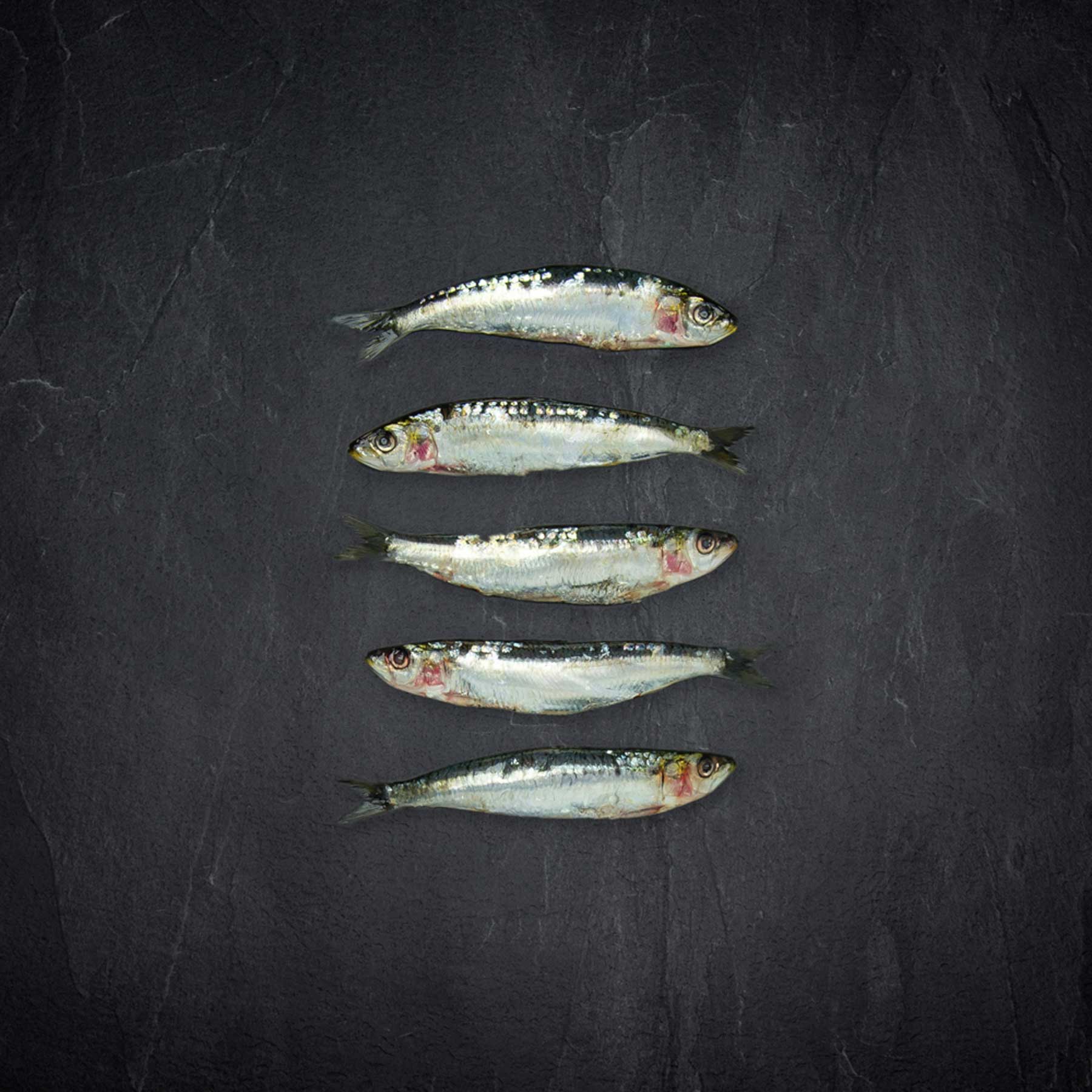 mackerel, fisch, muster, frisch, fischfilets
