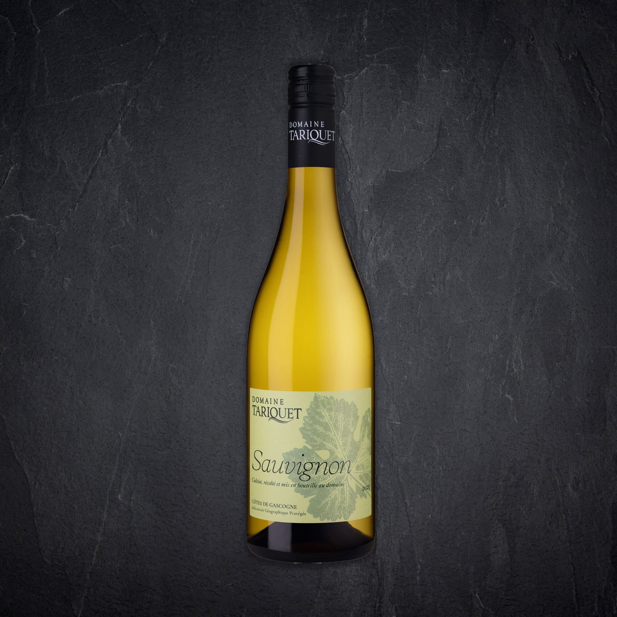 176044_Domain_Tariquet_Sauvignon-Blanc 176044_Domain_Tariquet_Sauvignon-Blanc