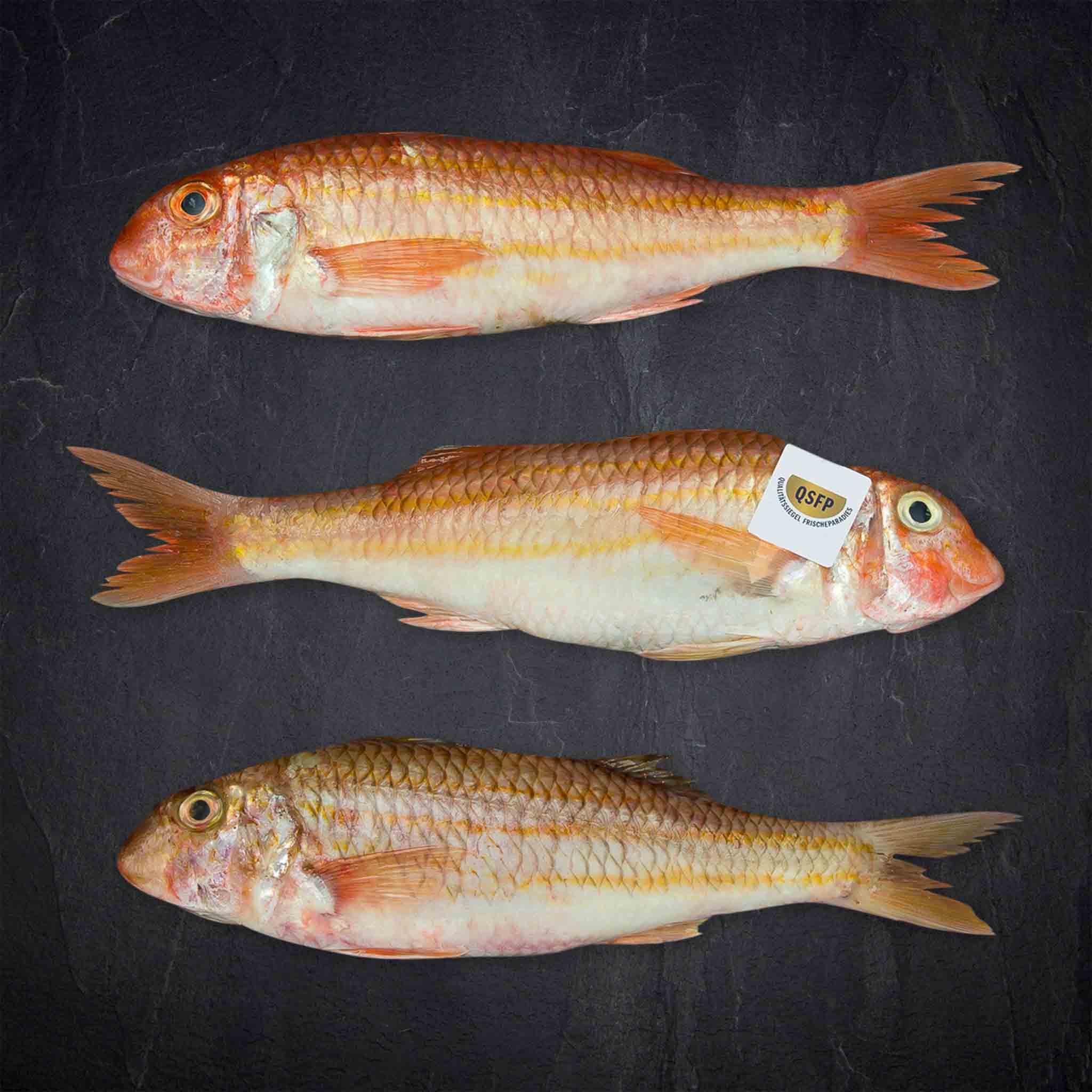 Produktbild: 698841_Fisch_QSFP_Meerbarbe_rot_3-500g_FR_MullusSurmuletus_gefangen_Nordostatlantik29
