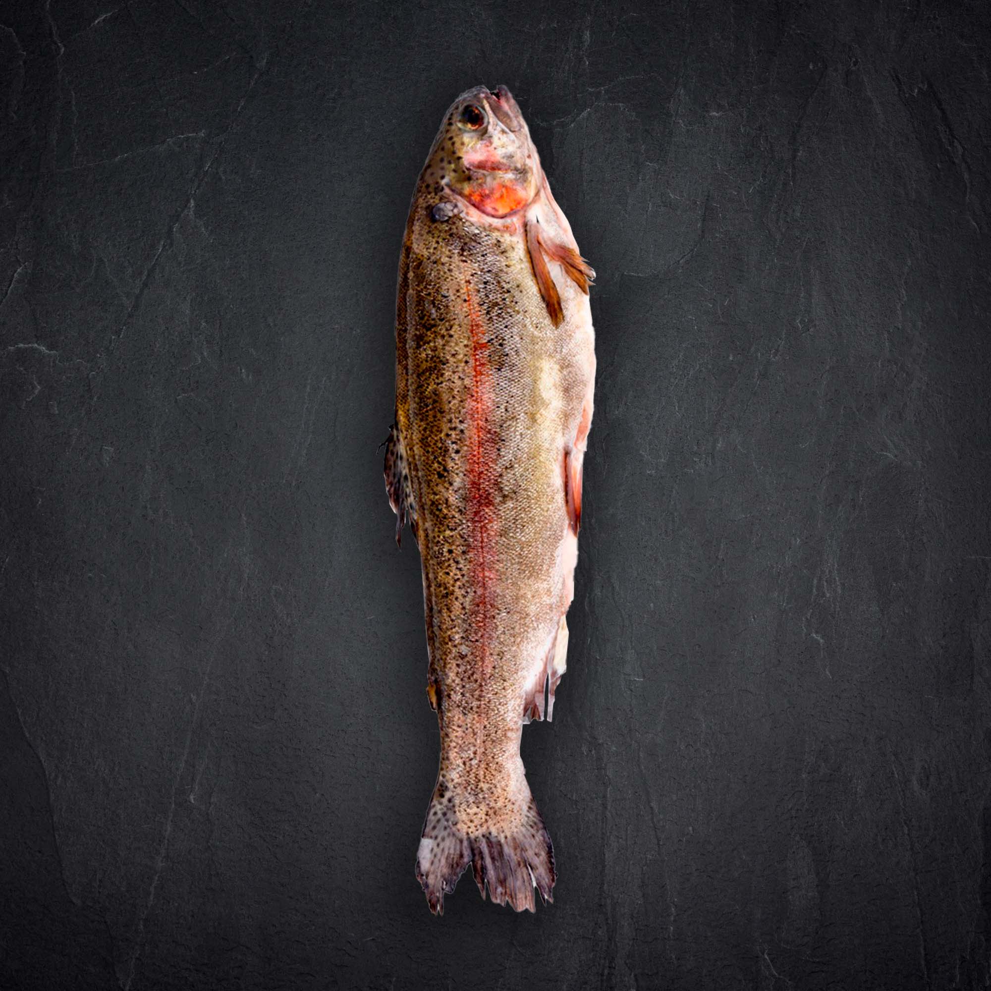 329534 Produktbild: 329534