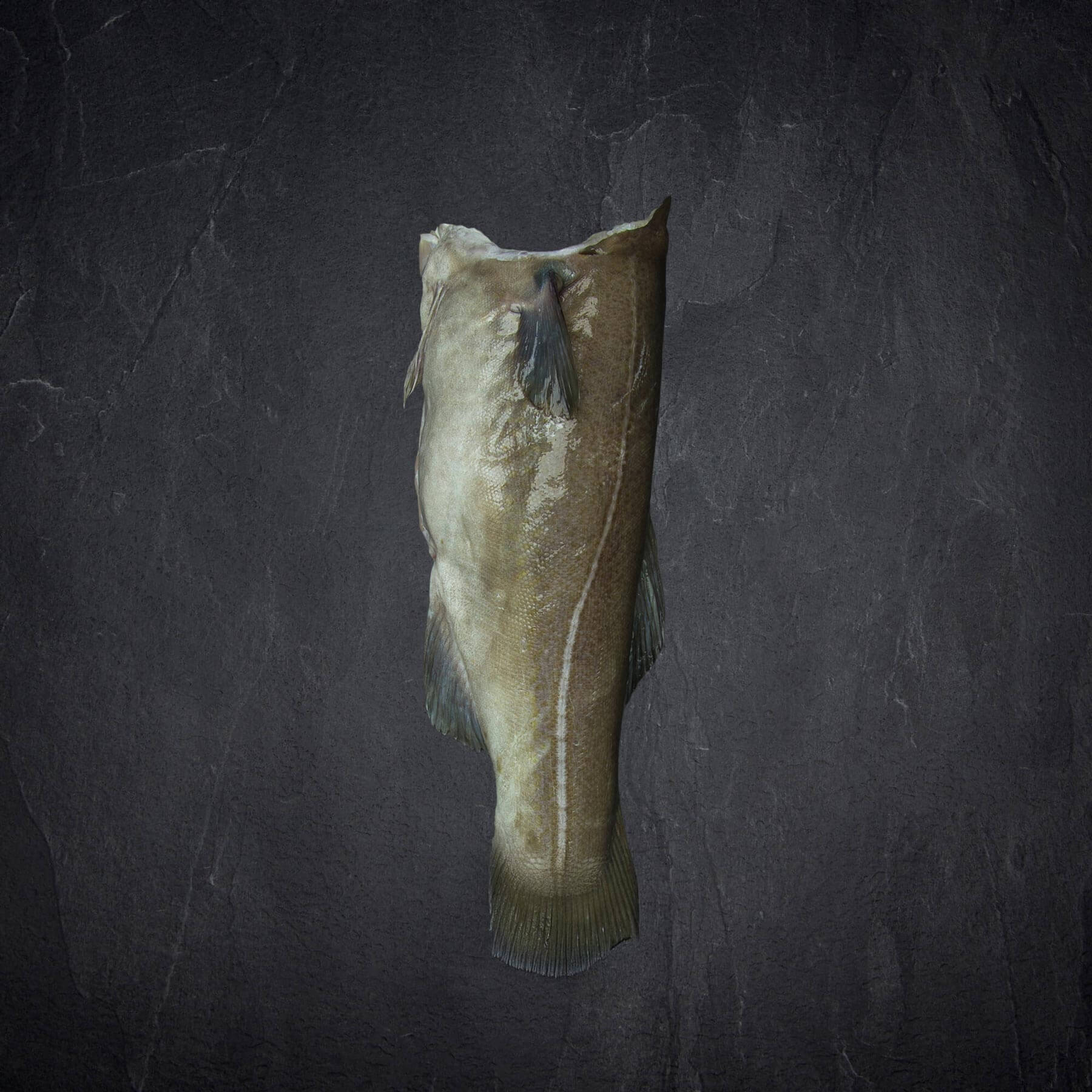 MSC Skrei ohne Kopf | ca. 3kg