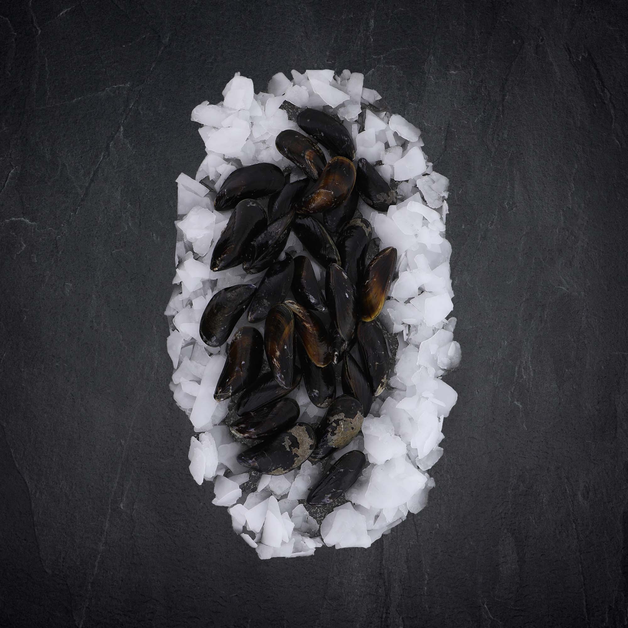 MSC Miesmuscheln online kaufen MSC Miesmuscheln online kaufen