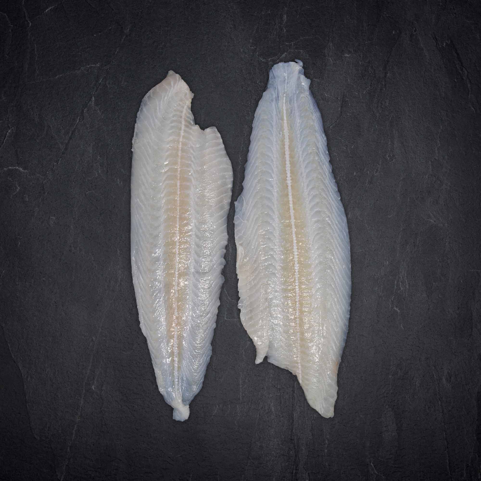 Seezungenfilet Produktbild: Seezungenfilet