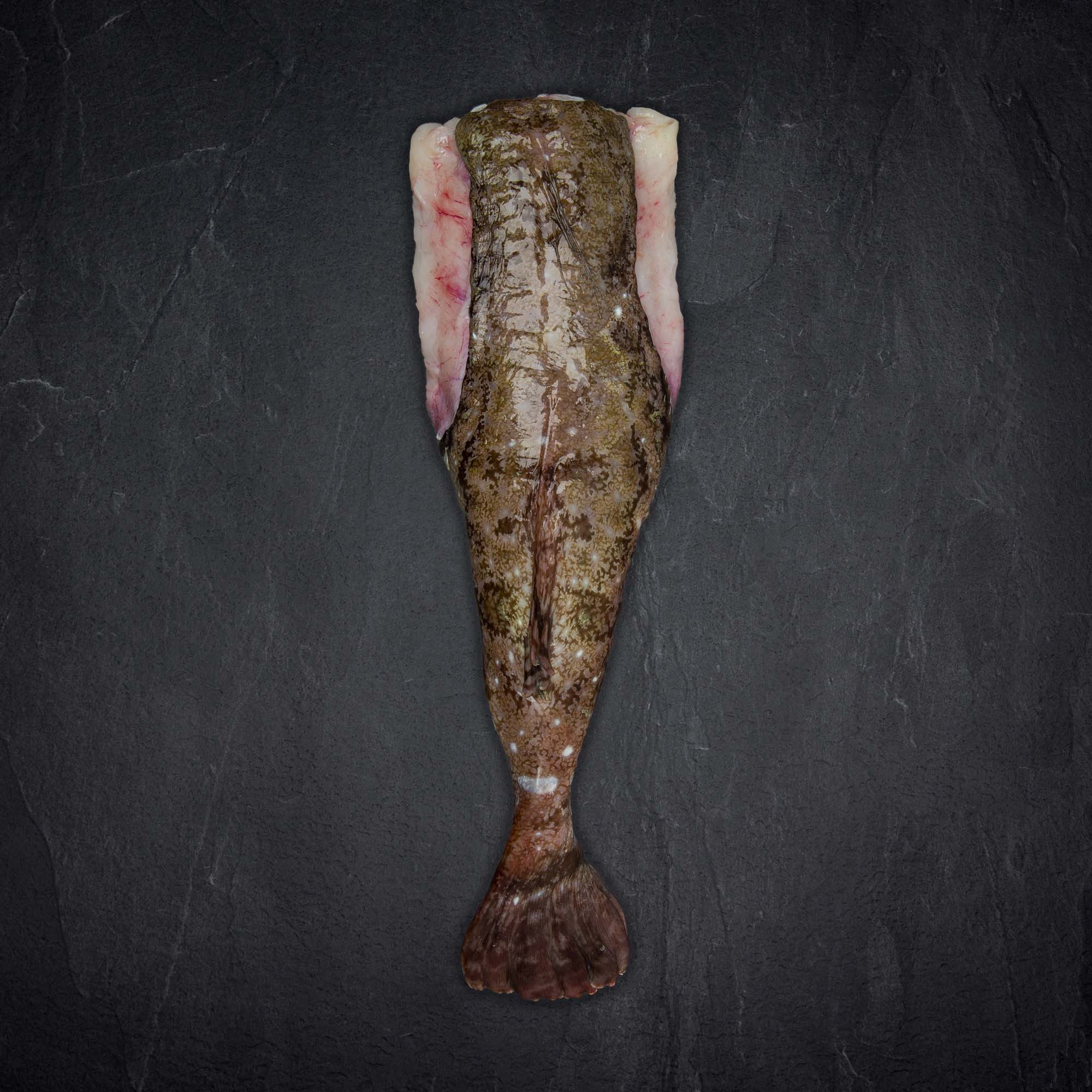 Seeteufel ganz ohne kopf Produktbild: Seeteufel ganz ohne kopf