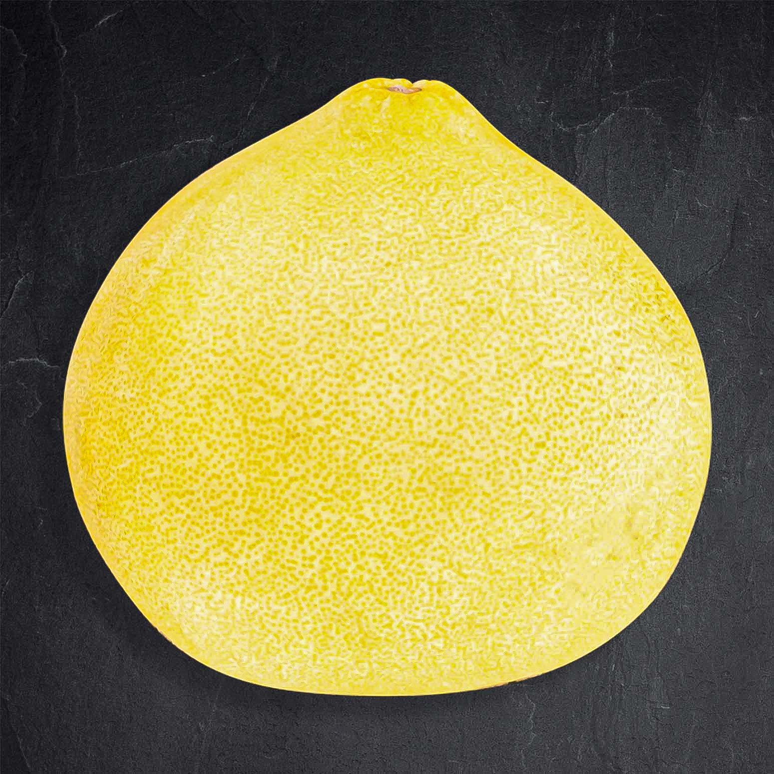 567074_1_Pomelo