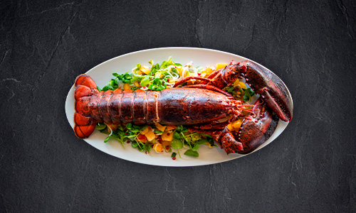 Hummer mood ganz Produktbild: Hummer mood ganz