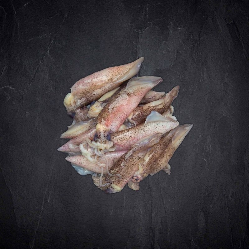 Tintenfische online kaufen