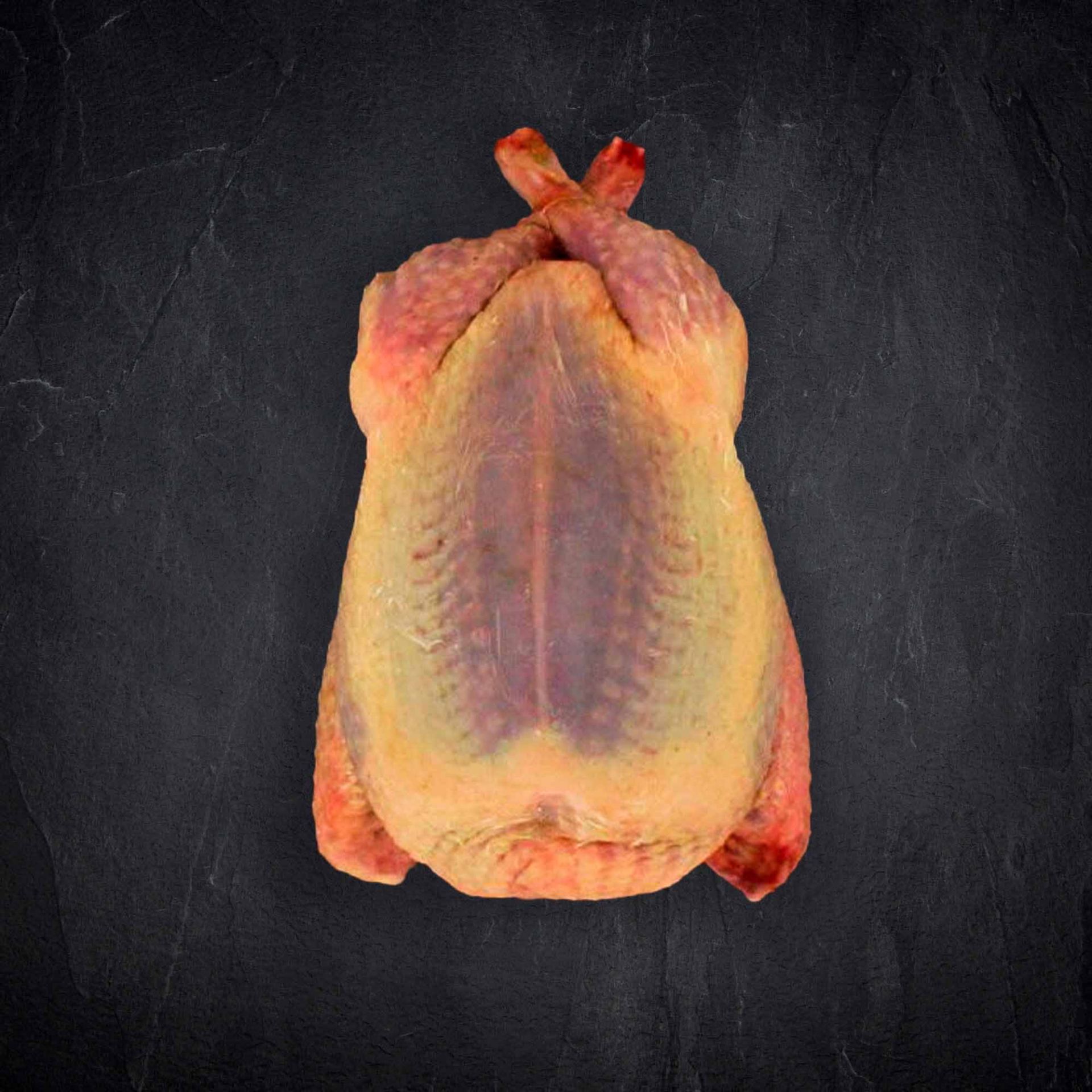 Wachtel, Taube &amp; Stubenküken online kaufen