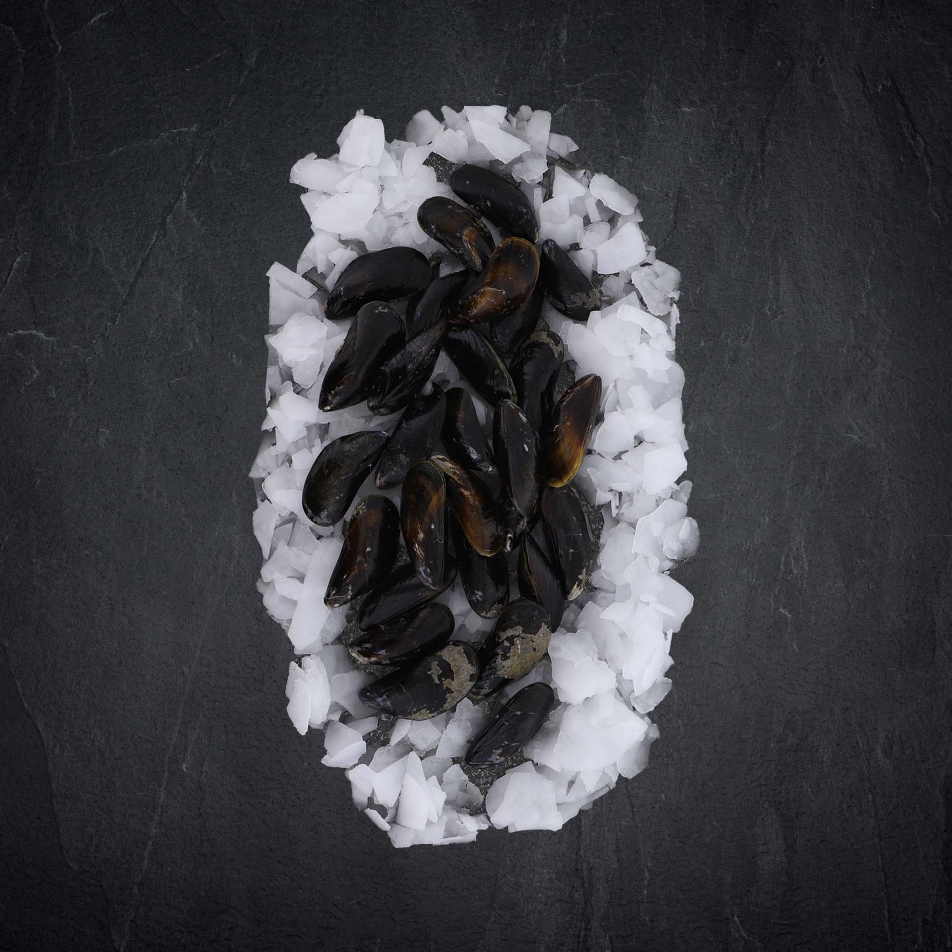 Frischer Fisch und Meeresfrüchte